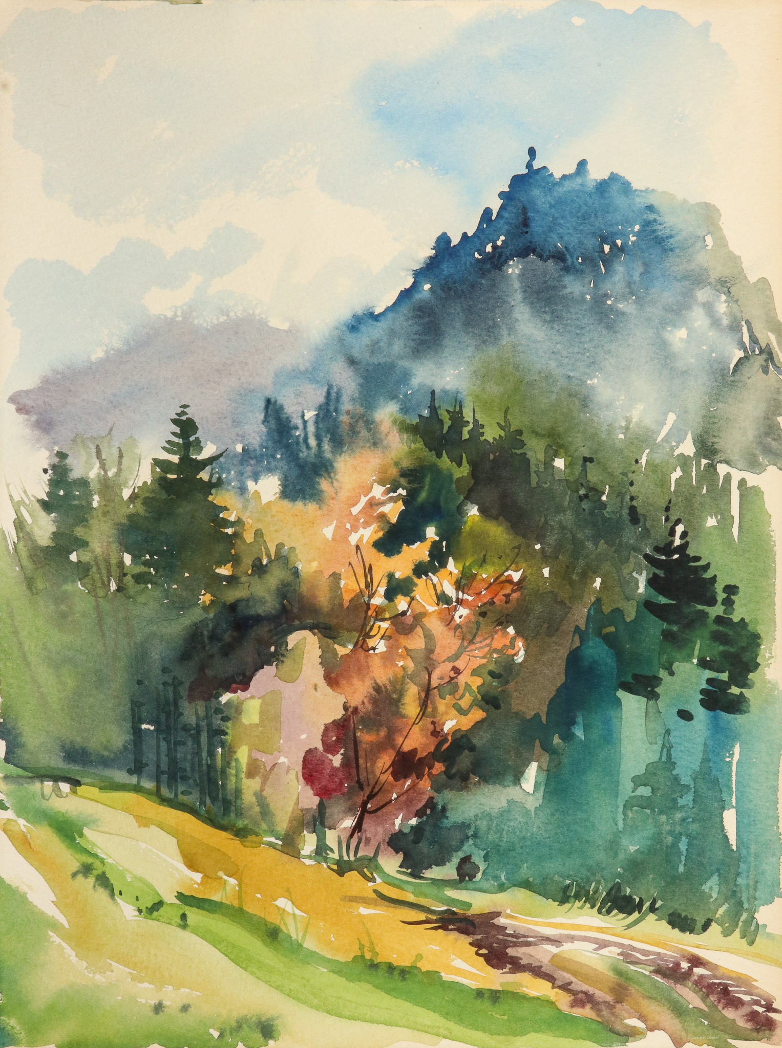 Waldstück am Berg